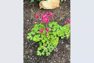 535 Darby Drive, Belmont, NH 03220 - Photo 45