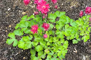 535 Darby Dr, Belmont, NH 03220 - Photo 45