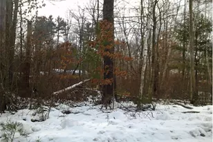 8 Mark Ave, Derry, NH 03038 - Photo 1