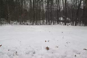 12 Gerrish Dr, Nottingham, NH 03290 - Photo 3