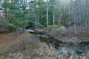 38 Pond Brook Rd, Wentworth, NH 03282 - Photo 45