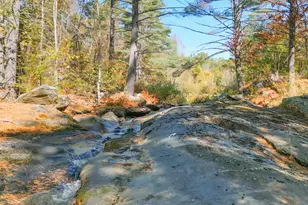 38 Pond Brook Rd, Wentworth, NH 03282 - Photo 49