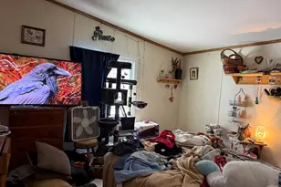 1873 Brook Rd, Goshen, NH 03752 - Photo 17