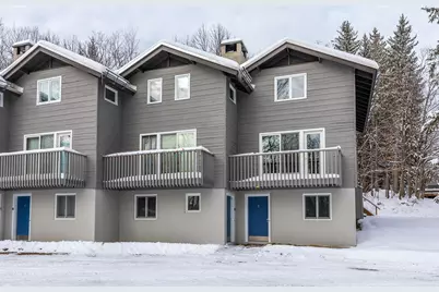 8 Silver Birch Road #8, Winhall, VT 05340 - Photo 29