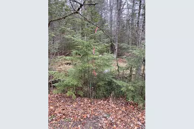84 Vernon Avenue Also Lots # 103 and 104 on Oak Circle, Haverhill, NH 03765 - Photo 1