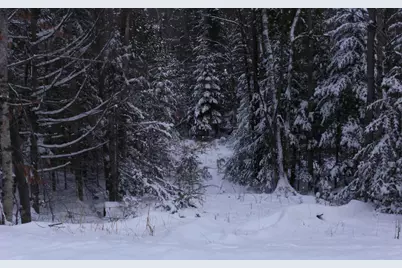 84 Vernon Avenue Also Lots # 103 and 104 on Oak Circle, Haverhill, NH 03765 - Photo 9