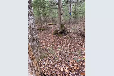 84 Vernon Avenue Also Lots # 103 and 104 on Oak Circle, Haverhill, NH 03765 - Photo 3