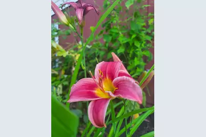 25 Marshall Avenue, Hartford, VT 05001 - Photo 47