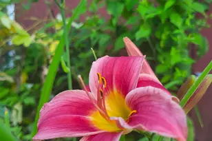 25 Marshall Ave, Hartford, VT 05001 - Photo 47