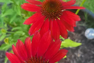 25 Marshall Ave, Hartford, VT 05001 - Photo 45