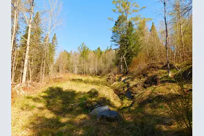 0 Piper Hill Road, Colebrook, NH 03576 - Photo 19