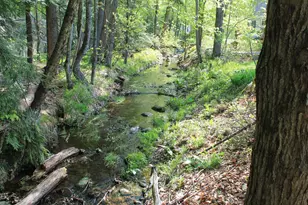 158 Pollard Rd, Lincoln, NH 03251 - Photo 11