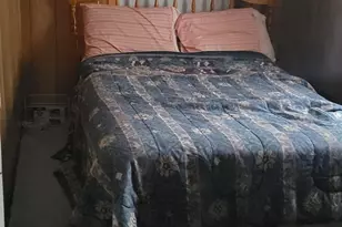 29 Milford Ave, Freedom, NH 03836 - Photo 25