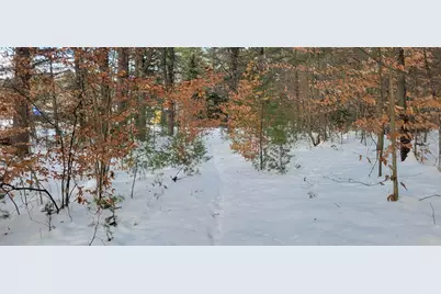 29 Milford Avenue, Freedom, NH 03836 - Photo 5