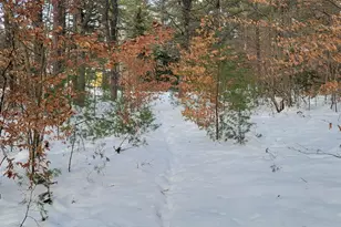 29 Milford Ave, Freedom, NH 03836 - Photo 5