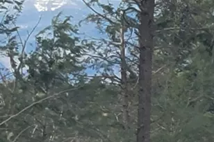 91-95 Elm St, Ossipee, NH 03864 - Photo 19