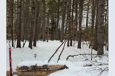 68 Gilman Valley Road, Tamworth, NH 03883 - Photo 25