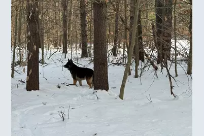 68 Gilman Valley Road, Tamworth, NH 03883 - Photo 23