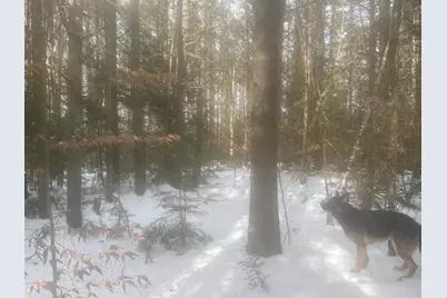 68  &amp; 00 Gilman Valley &amp; Route 25 W, Tamworth, NH 03883 - Photo 55