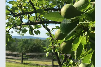 184 Deerfield Road, Nottingham, NH 03290 - Photo 55