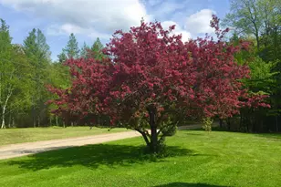 35 Pinnacle Ridge Rd, Meredith, NH 03253 - Photo 33