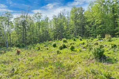 0 Boulder Point Drive #2-1, Plymouth, NH 03264 - Photo 11