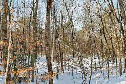 0 Green Mountain Highway #13, Effingham, NH 03882 - Photo 11