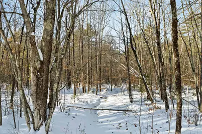 0 Green Mountain Highway #13, Effingham, NH 03882 - Photo 13