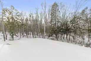 35 Emily Ln, Danville, NH 03819 - Photo 39