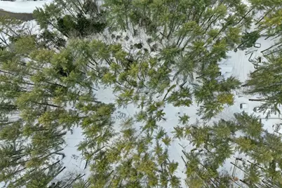 330 Newman Drew Road, Ossipee, NH 03890 - Photo 17