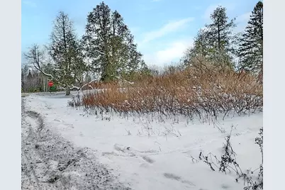 000 Mountain View Road, Whitefield, NH 03598 - Photo 3