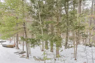 46 Hadleigh Rd, Windham, NH 03087 - Photo 43