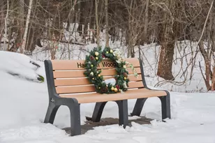 46 Hadleigh Rd, Windham, NH 03087 - Photo 47