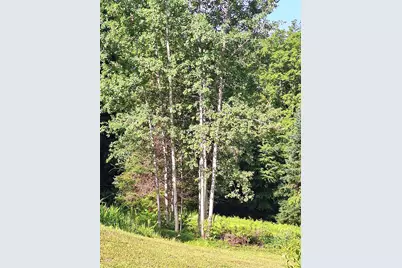 521 County Road, Walpole, NH 03608 - Photo 33