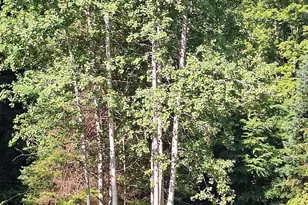 521 County Rd, Walpole, NH 03608 - Photo 33