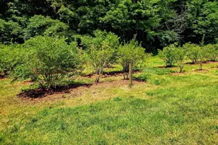 226 Amesbury Rd, Kensington, NH 03833 - Photo 5