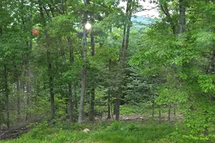 1046 Kings Hwy, Stoddard, NH 03464 - Photo 17
