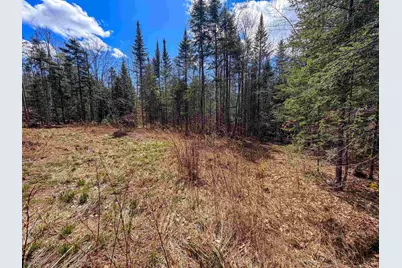 40 Bear Paw Trail, Littleton, NH 03561 - Photo 13