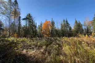 40 Bear Paw Trl, Littleton, NH 03561 - Photo 1