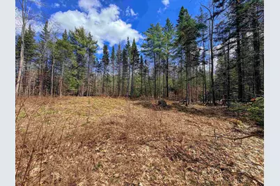 40 Bear Paw Trail, Littleton, NH 03561 - Photo 9