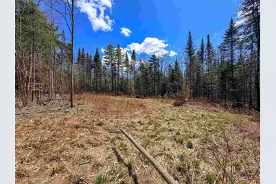 40 Bear Paw Trail, Littleton, NH 03561 - Photo 9