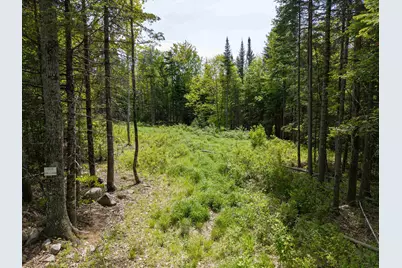 40 Bear Paw Trail, Littleton, NH 03561 - Photo 3