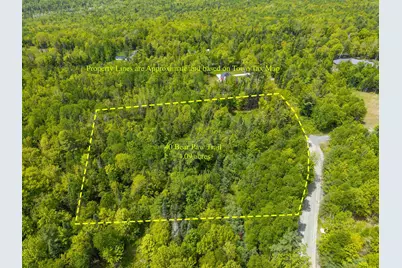40 Bear Paw Trail, Littleton, NH 03561 - Photo 3