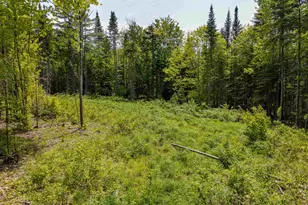 40 Bear Paw Trl, Littleton, NH 03561 - Photo 1