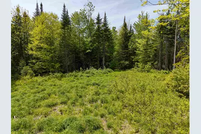 40 Bear Paw Trail, Littleton, NH 03561 - Photo 19