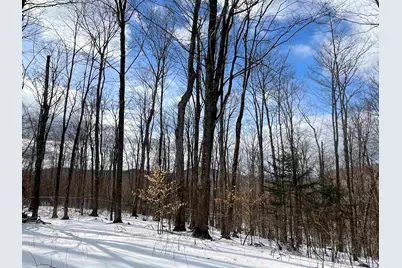 2924 New Duck Pond Road, Sheffield, VT 05866 - Photo 13