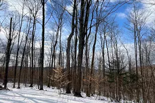 2924 New Duck Pond Rd, Sheffield, VT 05866 - Photo 13