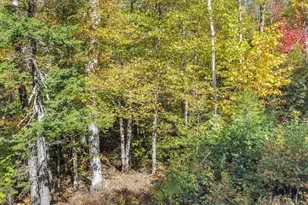 137 Reservoir Rd, Campton, NH 03223 - Photo 17