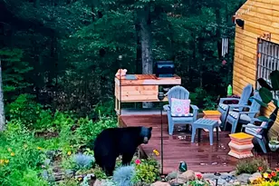 2170 Wildlife Rd, Hartford, VT 05001 - Photo 13