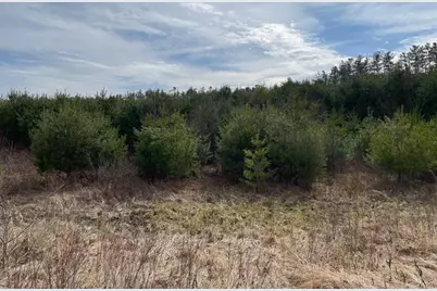 213-023-2 Yeaton Road, Plymouth, NH 03264 - Photo 7